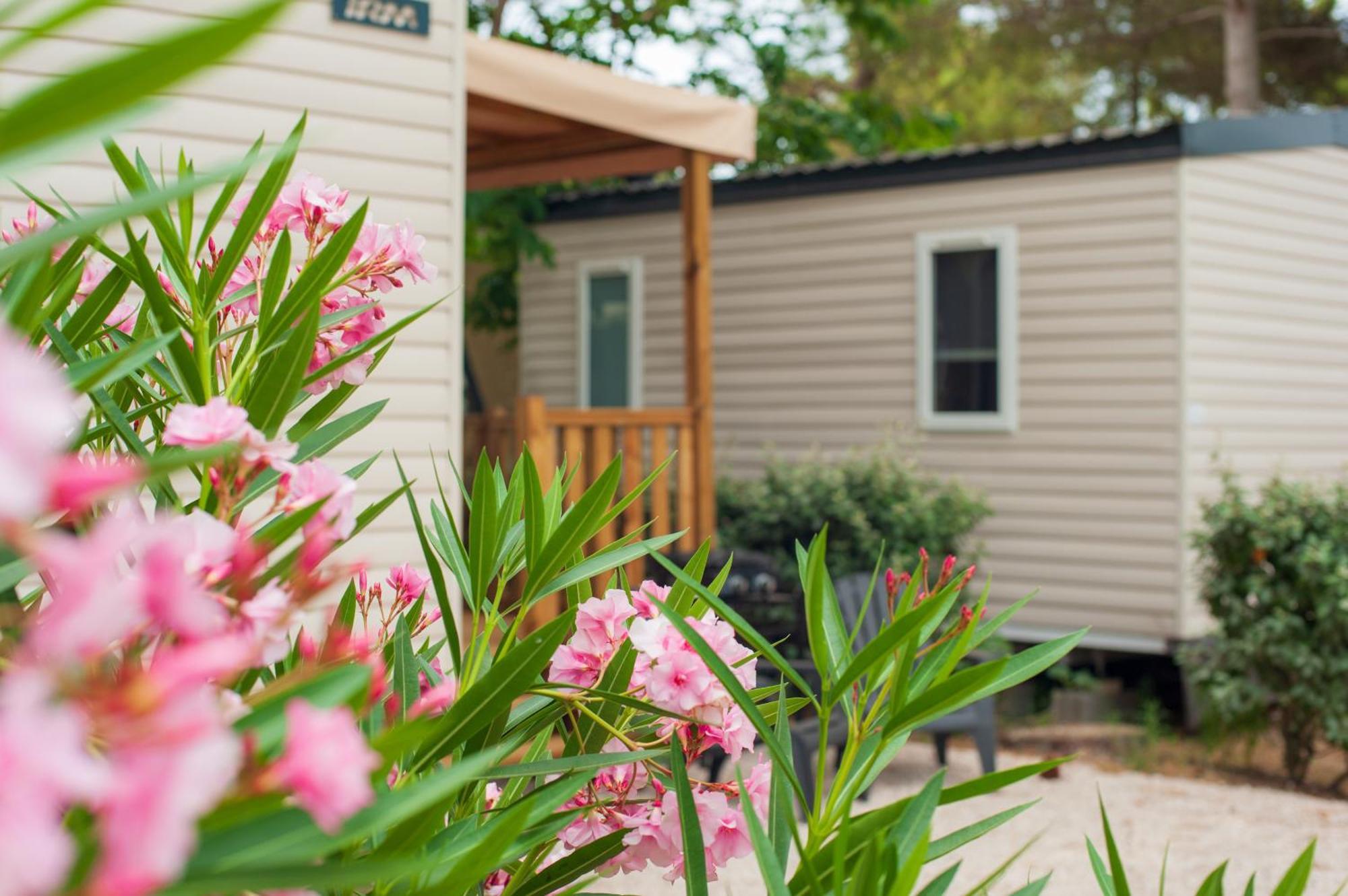 Camping Les Jardins D Agathe Le Grau-d'Agde Luaran gambar
