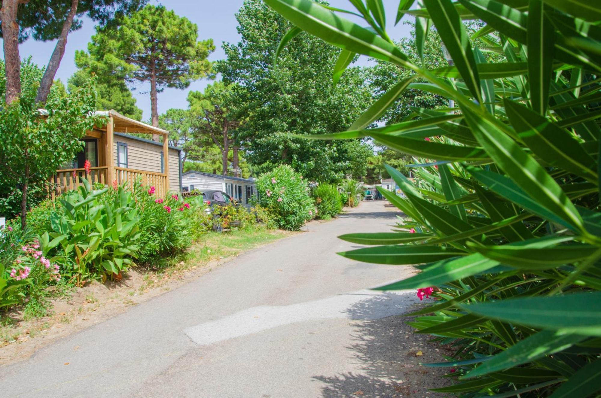 Camping Les Jardins D Agathe Le Grau-d'Agde Luaran gambar