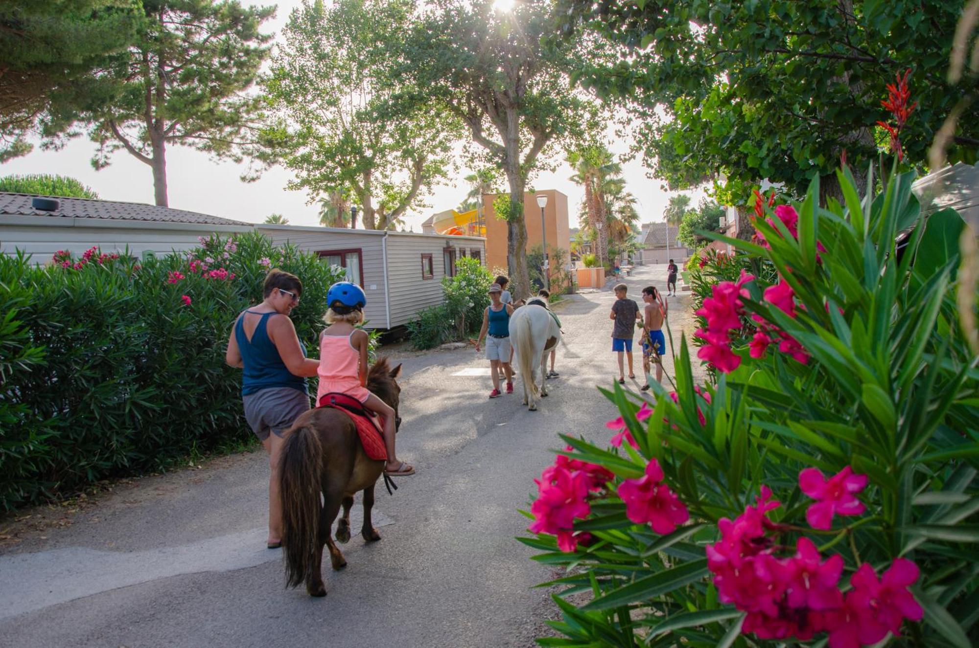 Camping Les Jardins D Agathe Le Grau-d'Agde Luaran gambar